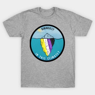 Binaries? In this climate? | Non-binary pride! T-Shirt